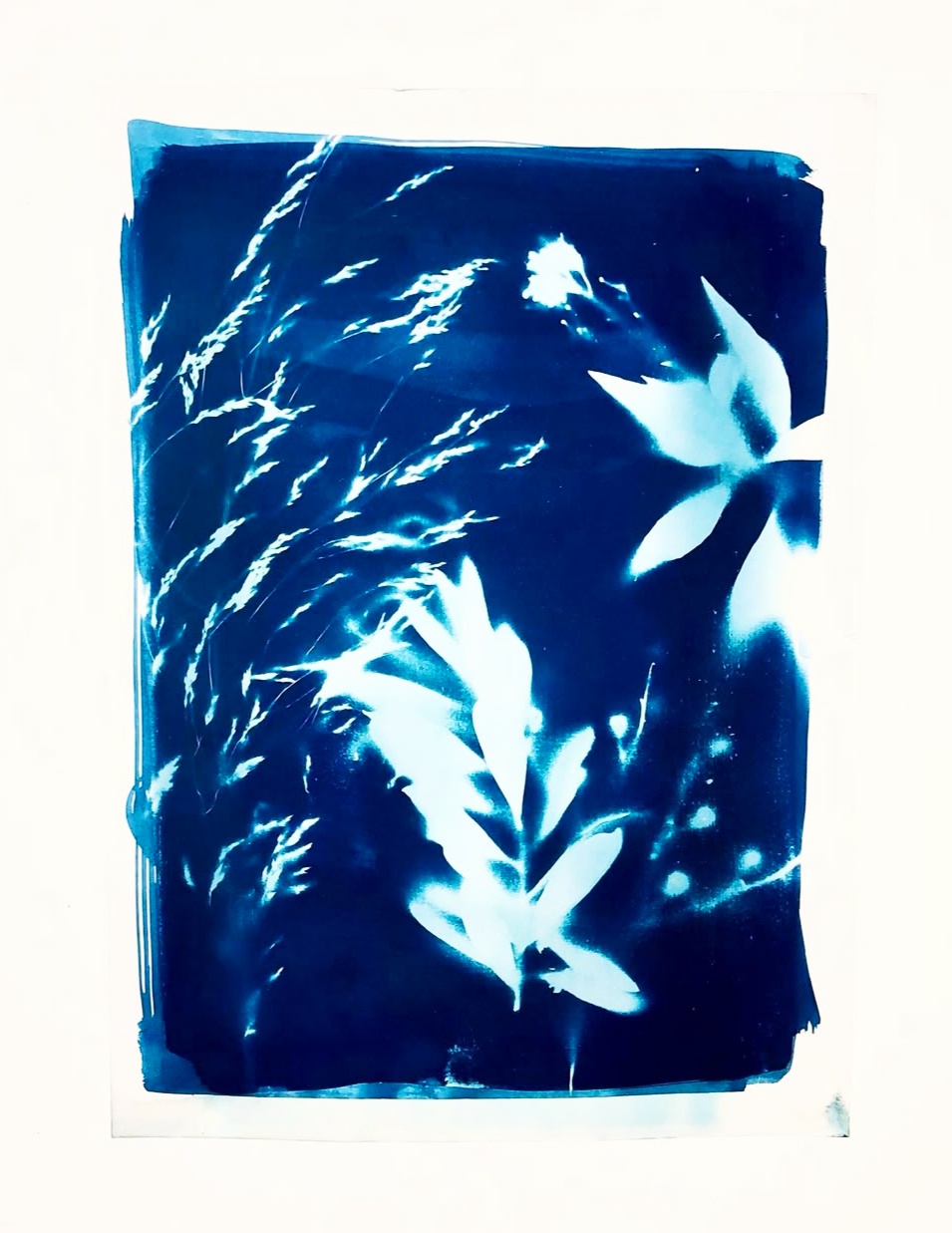 Stage linogravure — cyanotype et impression